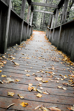 Lions Den Nature Preserve (2016)