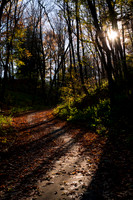 Doctors Park (2015)