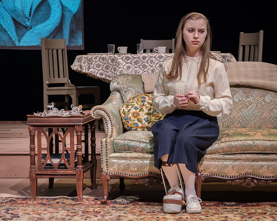 Glass Menagerie-9184