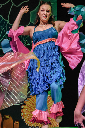 Mermaid-3077