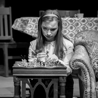Glass Menagerie-9469