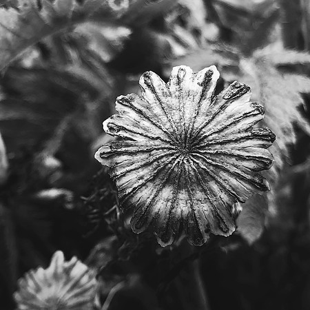 124/∞