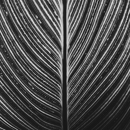 059/∞