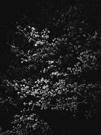 077/∞