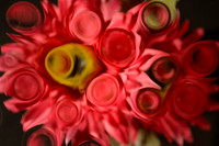 Les Fleurs (2012)