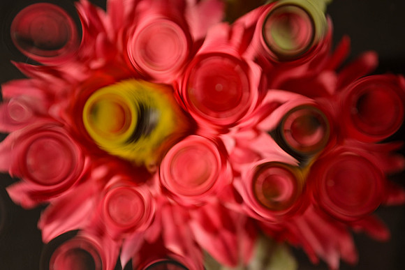 Les Fleurs (2012)