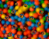 Katie's Favorite Candy (2012)