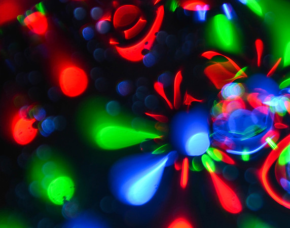 Light Blooms (2013)