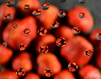 Beeshies (2012)